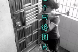 康保康保专业催债公司，专业催收