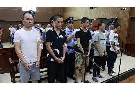 康保康保的要账公司在催收过程中的策略和技巧有哪些？