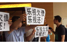 康保为什么选择专业追讨公司来处理您的债务纠纷？